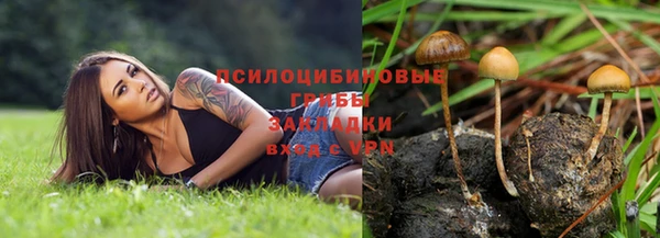 спайс Алексеевка