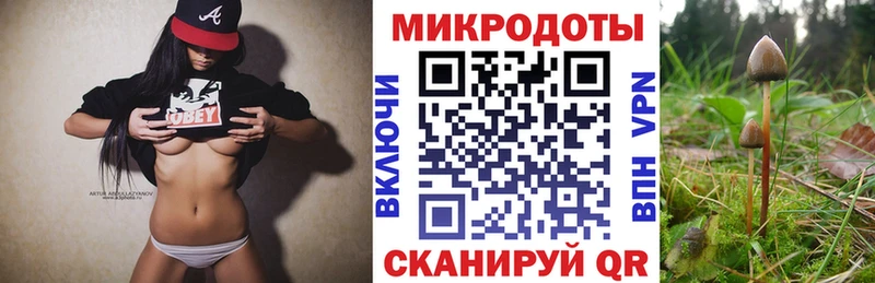 Псилоцибиновые грибы GOLDEN TEACHER  Кочубеевское 